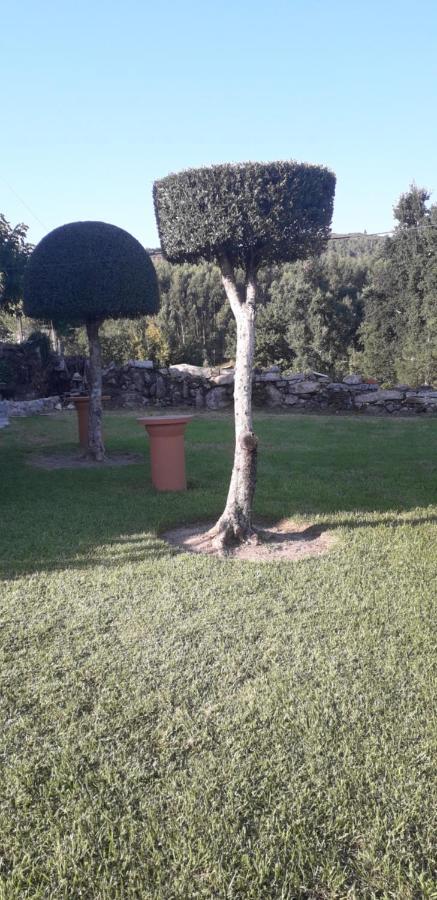 Villa Vivenda Agostinho  Arcos de Valdevez Esterno foto